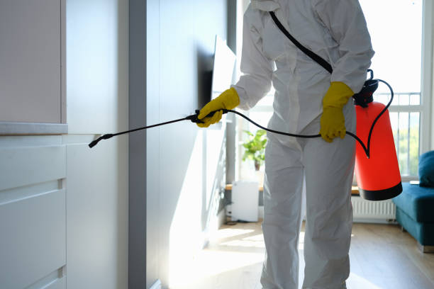 Emergency Pest Control in Yorketown, NJ